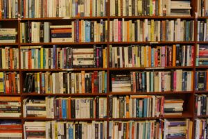 parete di libri che contengono storie di Elisa