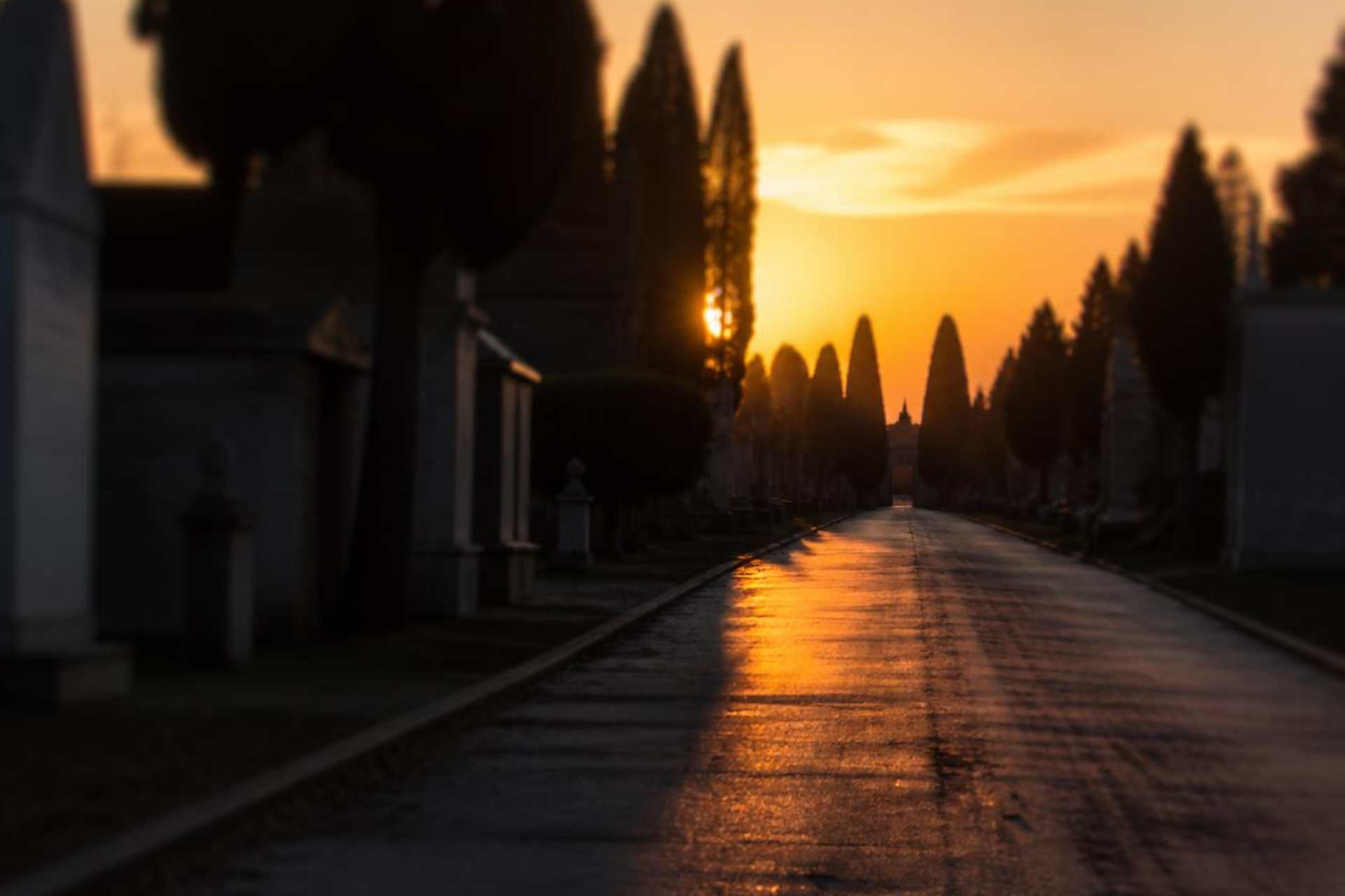 Un viale quasi deserto al tramonto, leggermente fuori fuoco o con una prospettiva lunga. Ricorda un cimitero.
